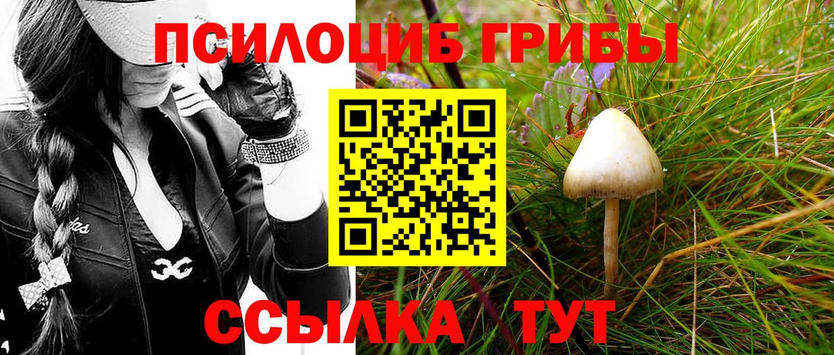 Галлюциногенные грибы Magic Shrooms Чайковский
