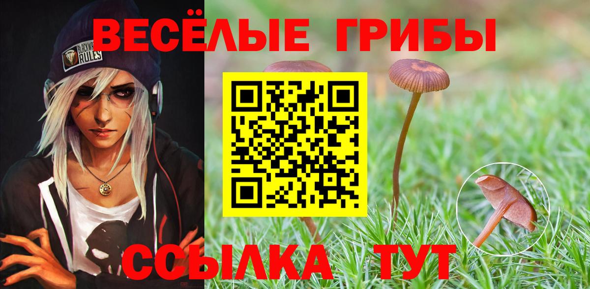 Чайковский  Псилоцибиновые грибы GOLDEN TEACHER  Вход с VPN  Галлюциногенные грибы мухоморы 